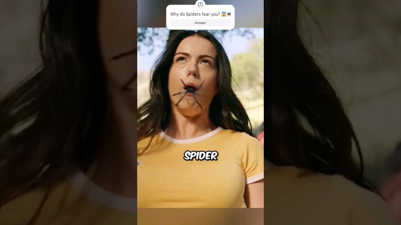 Never Touch the Spiders 😨😱 [Movie Recap] #shorts #viral #movies