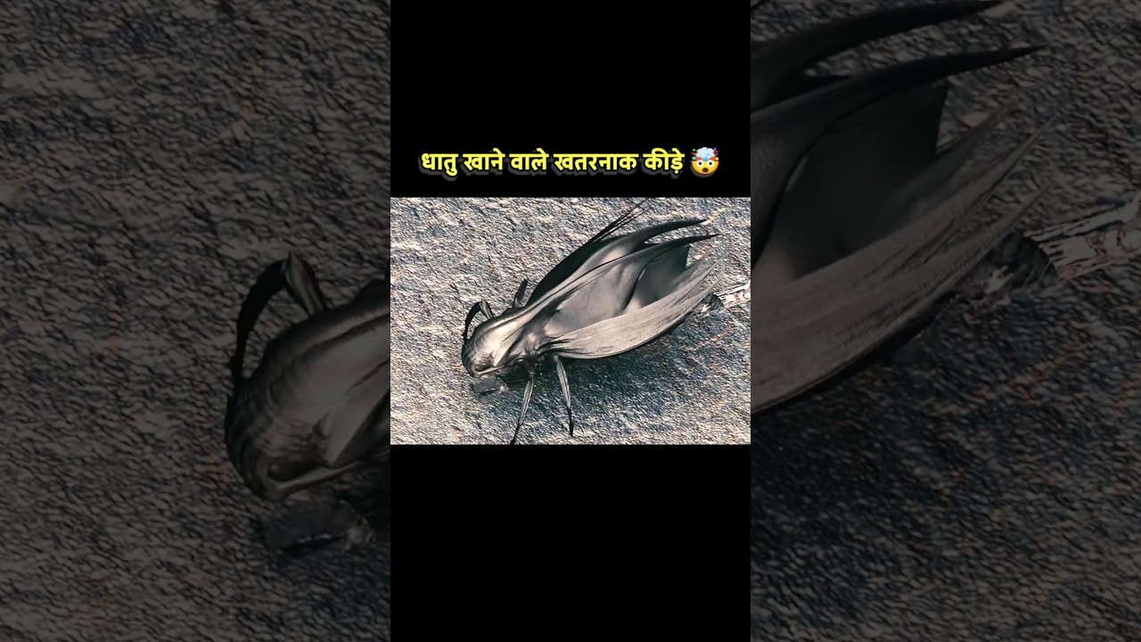 धातु खाने वाले खतरनाक कीड़े | new Hollywood hindi dubbed movie | Hollywood movie 2025