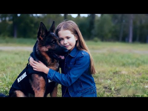 【Drama Movies】Police Dog Legend-BasedOnTrueStory🎬A Deeply Touching Family Story🎬English Full Movies