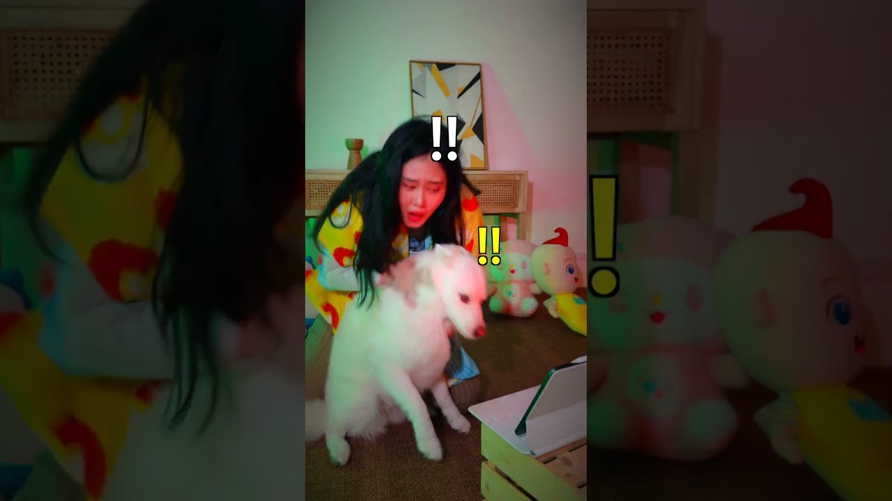 When You Watch HORROR Movies with a PET