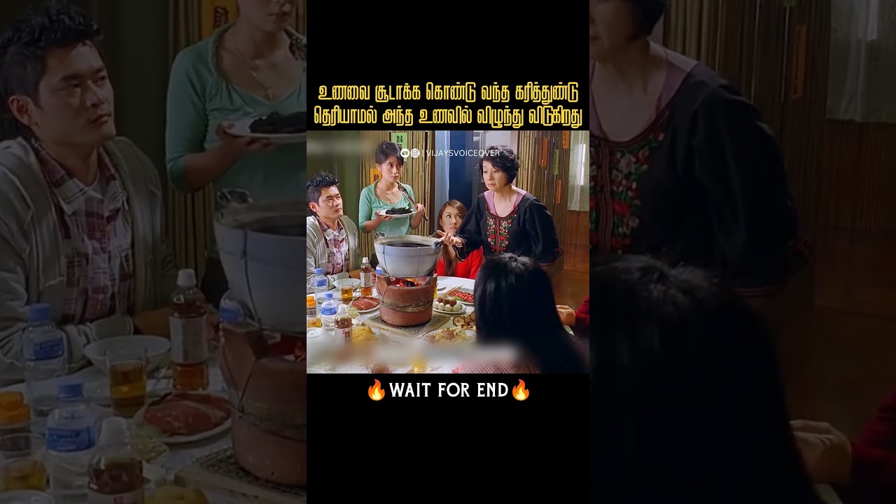 தவறி விழுந்த கரித்துண்டு உணவாக மாறியது |Vijay’s Voice over|Movies explained in tamil