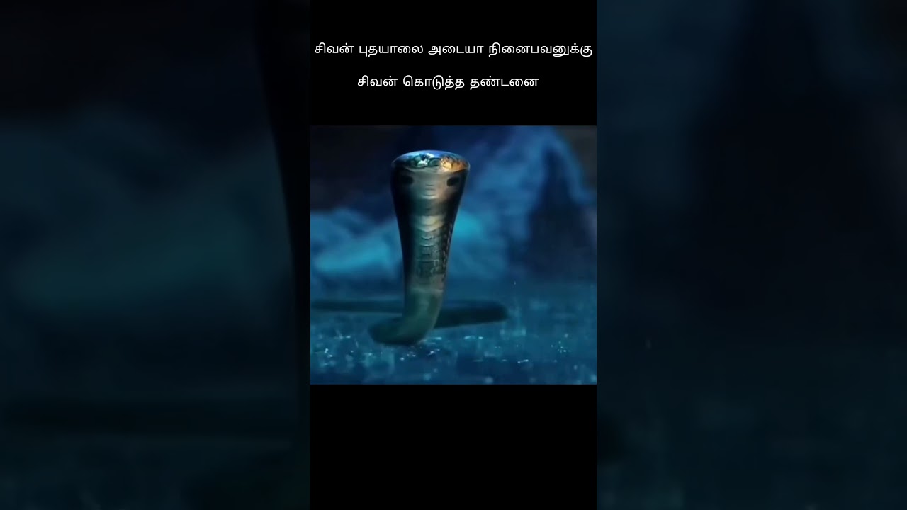 சிவன் புதயாலை அடையா நினைபவனுக்கு சிவன் கொடுத்த தண்டனை#shorts #tamil movies