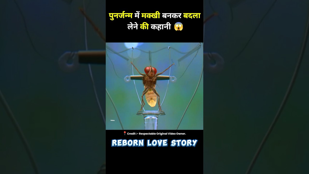 south movie makkhi full movie hindi dubbed #short #movie #hindimovie