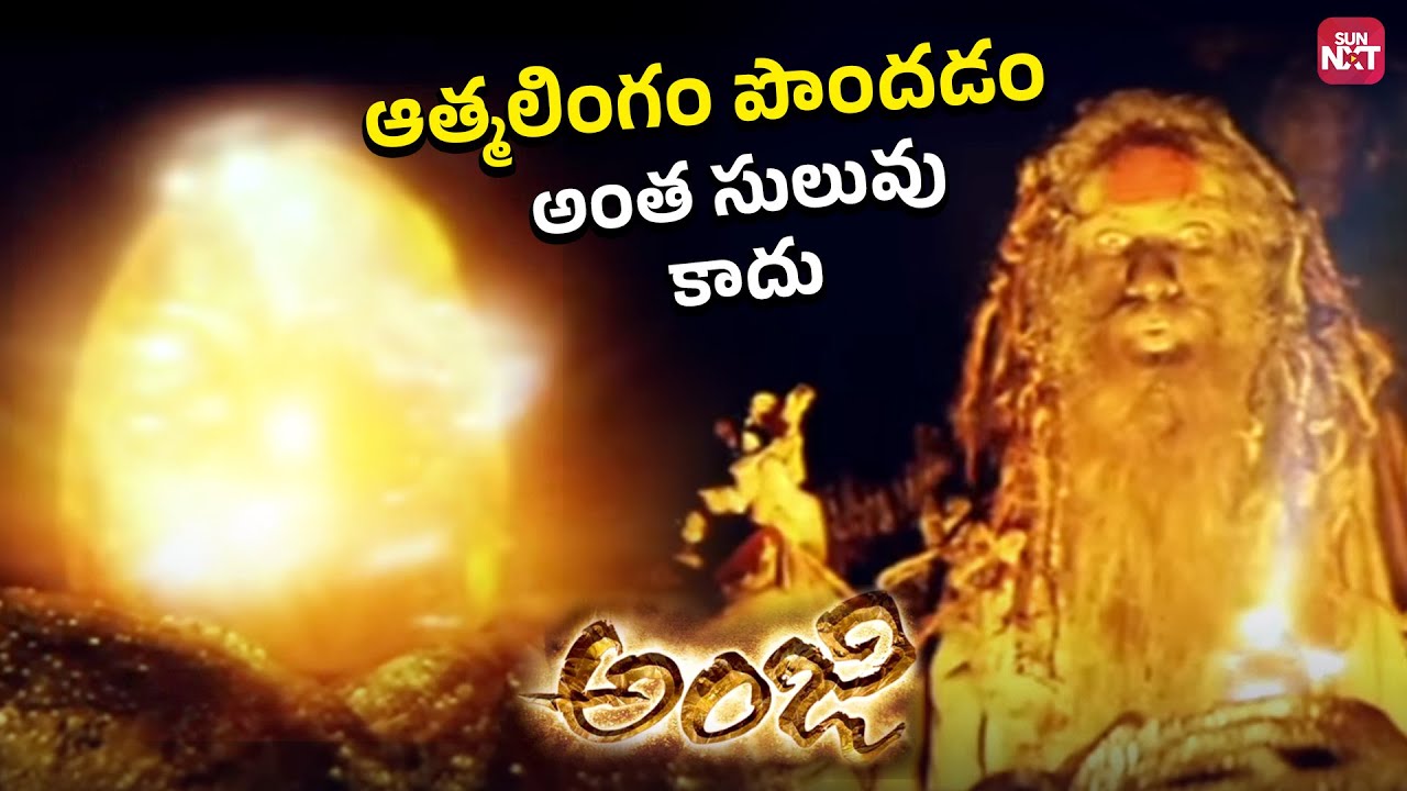 ఆత్మలింగాన్ని చేరుకోవడం మహా యోగులకు మాత్రమే సాధ్యం..| Chiranjeevi | Anji Movie | SunNXT Telugu