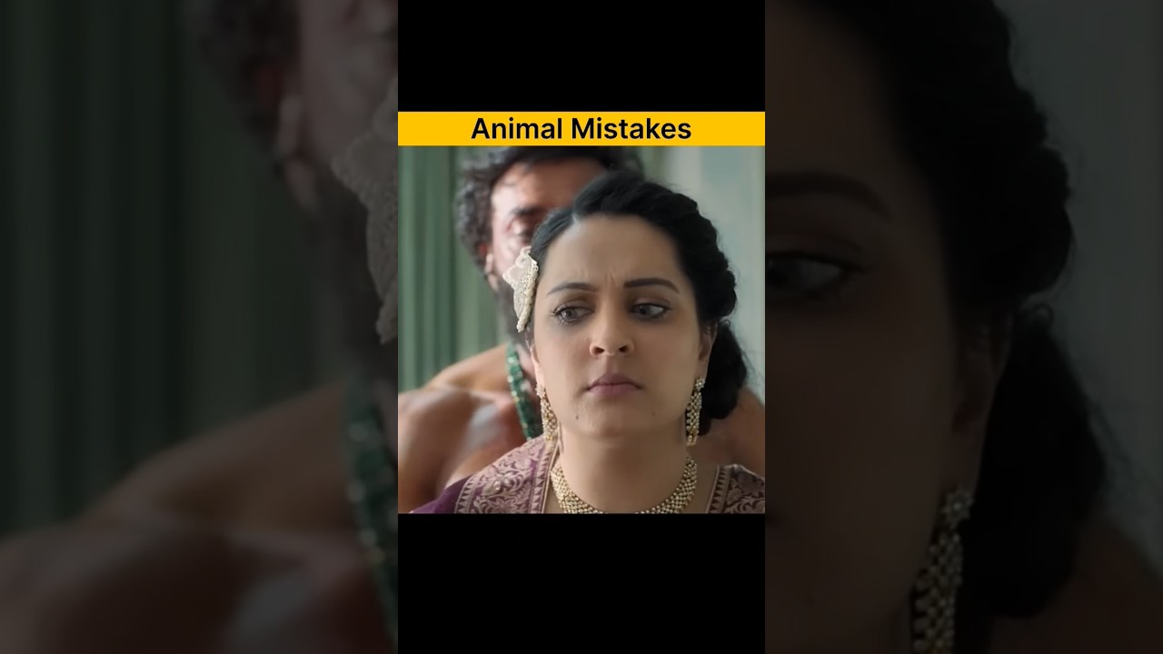 animal movie 5 mistakes 😲 #movie #explained #hindi #story