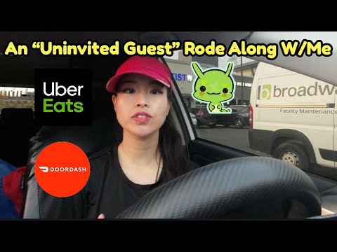 An "Uninvited Guest" Rode Along With Me To Deliver Food! Uber Eats Ride Along Door Dash! FOOD! TY!