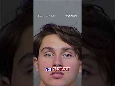 ‘Breaking Bad on STEROIDS’: Sheriff unveils record drug bust #shorts #us #news #drugbust