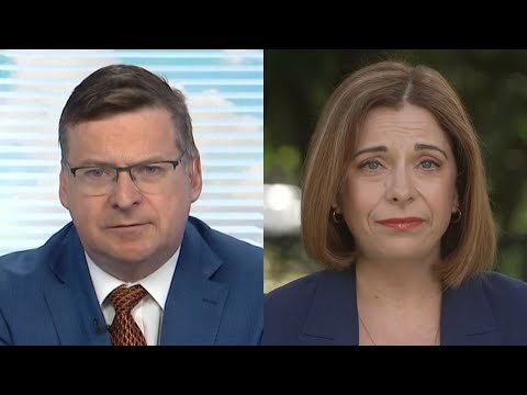 ‘I stand by it’: Anika Wells clashes with Sky News host while defending taxpayer-funded trips