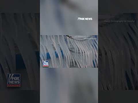 Icicles show off their winter sparkle