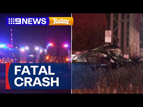 Man killed after car crashes into pole in Geelong | 9 News Australia