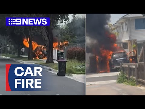 Mother saves three children from burning car | 9 News Australia