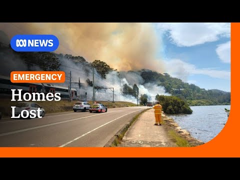 Multiple homes destroyed in a bushfire on the NSW Central Coast | ABC NEWS