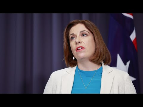 ‘Out of touch’ Minister Anika Wells flying high on the taxpayer dime