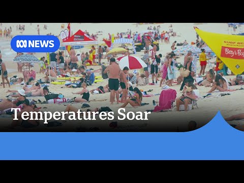 Parts of NSW swelter through another day above 40 degrees | ABC NEWS