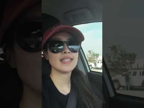 Weird Drop Off Request Customer Said Do Not Approach Door? Uber Eats #ridealong #ubereats